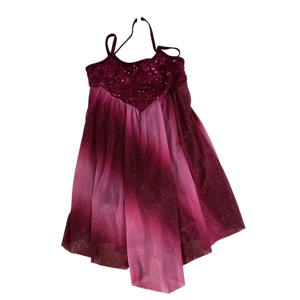 A Wish Come True Ombré Glitter Sequin Assym‎ Chiffon Dance Skating Costume